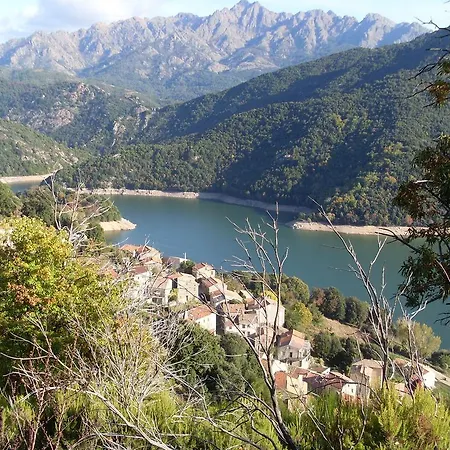 Côté