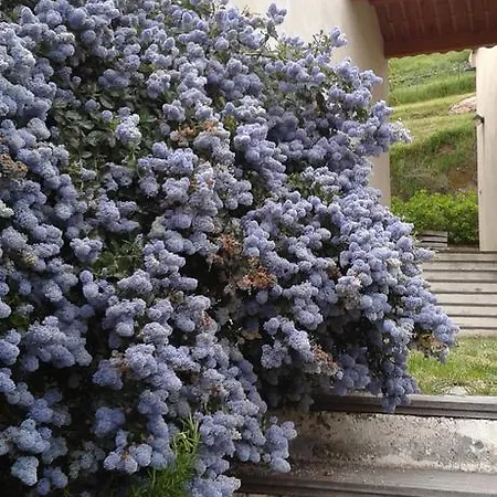 Côté Casa vacanze Tolla