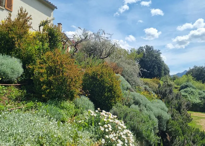 Vakantiehuis Cote Tolla